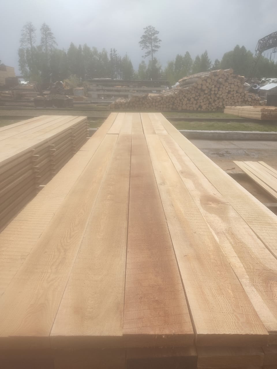 Лиственница сорт 0-1, 0-3 продажа оптом.