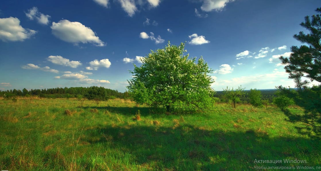 Земельный участок ЛПХ с собственным родником
