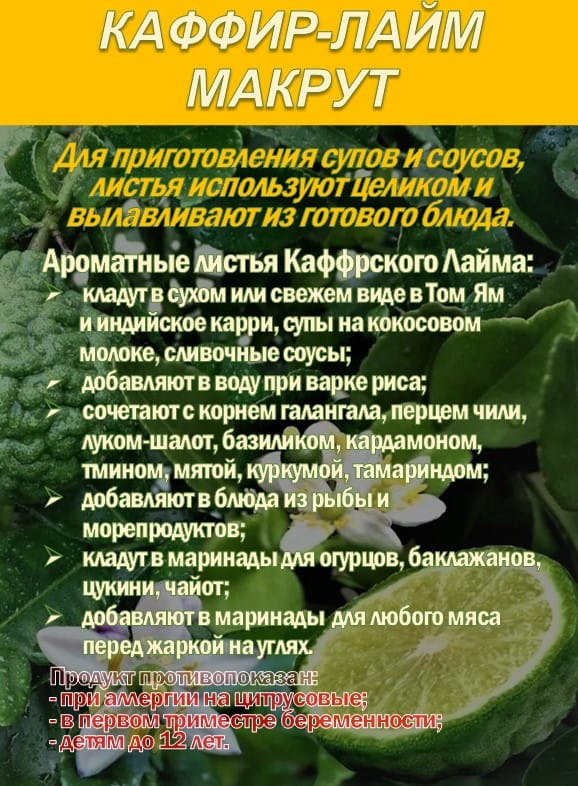 КАФФИР-ЛАЙМ. МАКРУТ. Лист сушеный. — фото 3