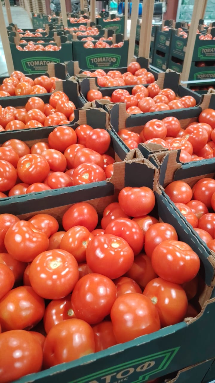 Томат среднеплодный круглый красный — фото 5