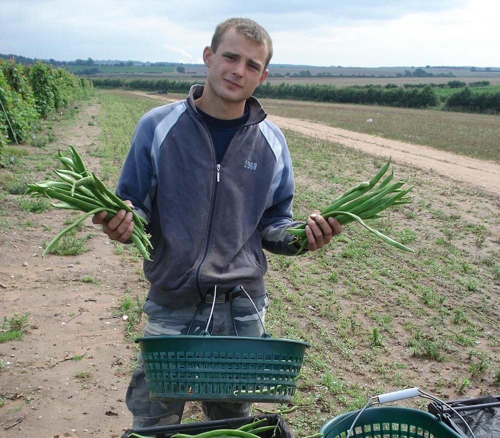 "Работа и вакансии" на сельскохозяйственных фермах в Великобритании — фото 2