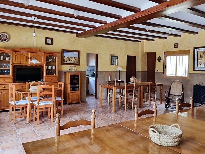 Плантация апельсинов с виллой под Валенсией — фото 3