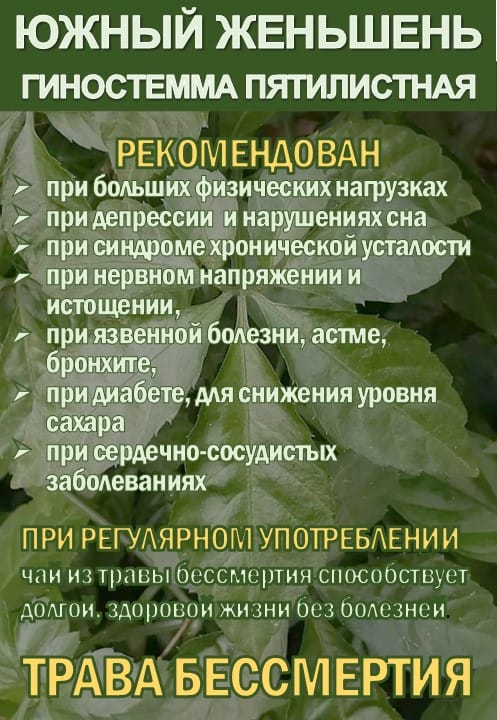 Фиточай Джиаогулан. Гиностемма пятилистная. Южный женьшень. — фото 3