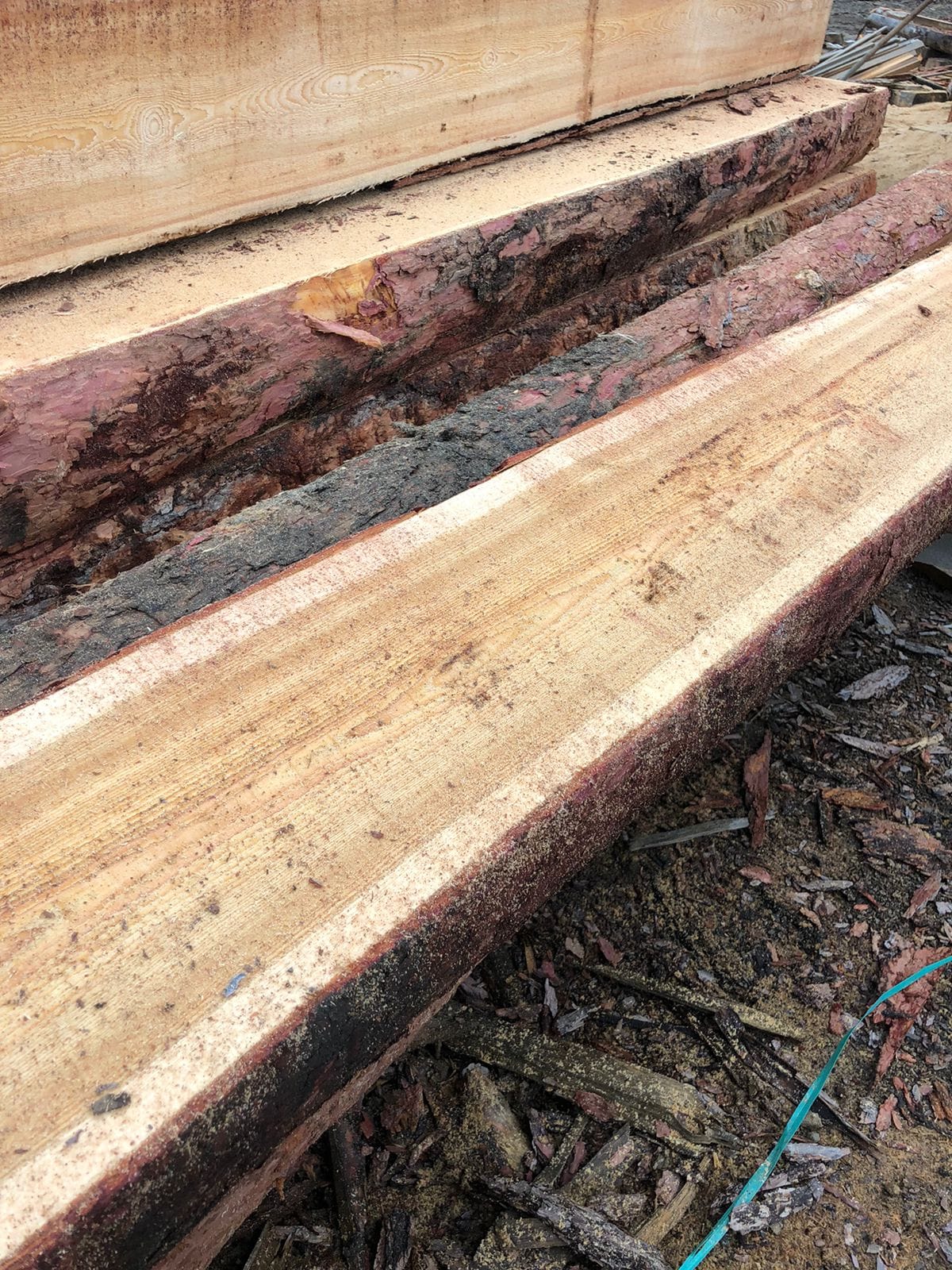 Лиственница необрезная доска продажа оптом. — фото 2