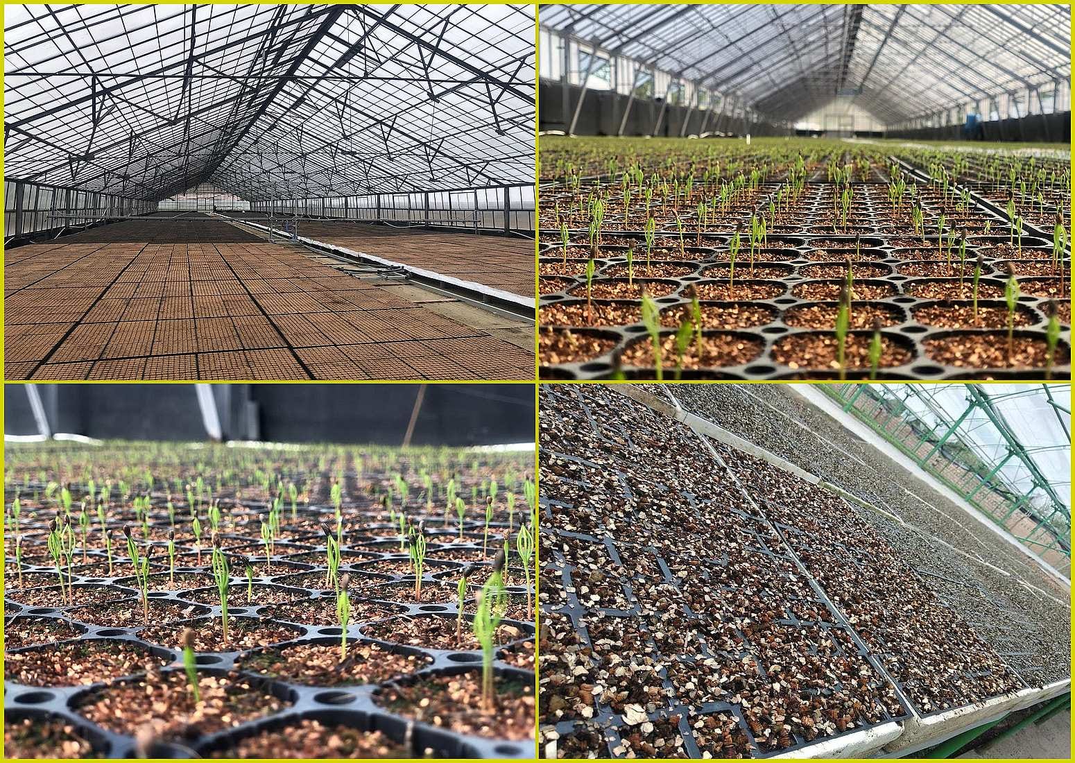 Вермикулит и изделия от Производителя — фото 4