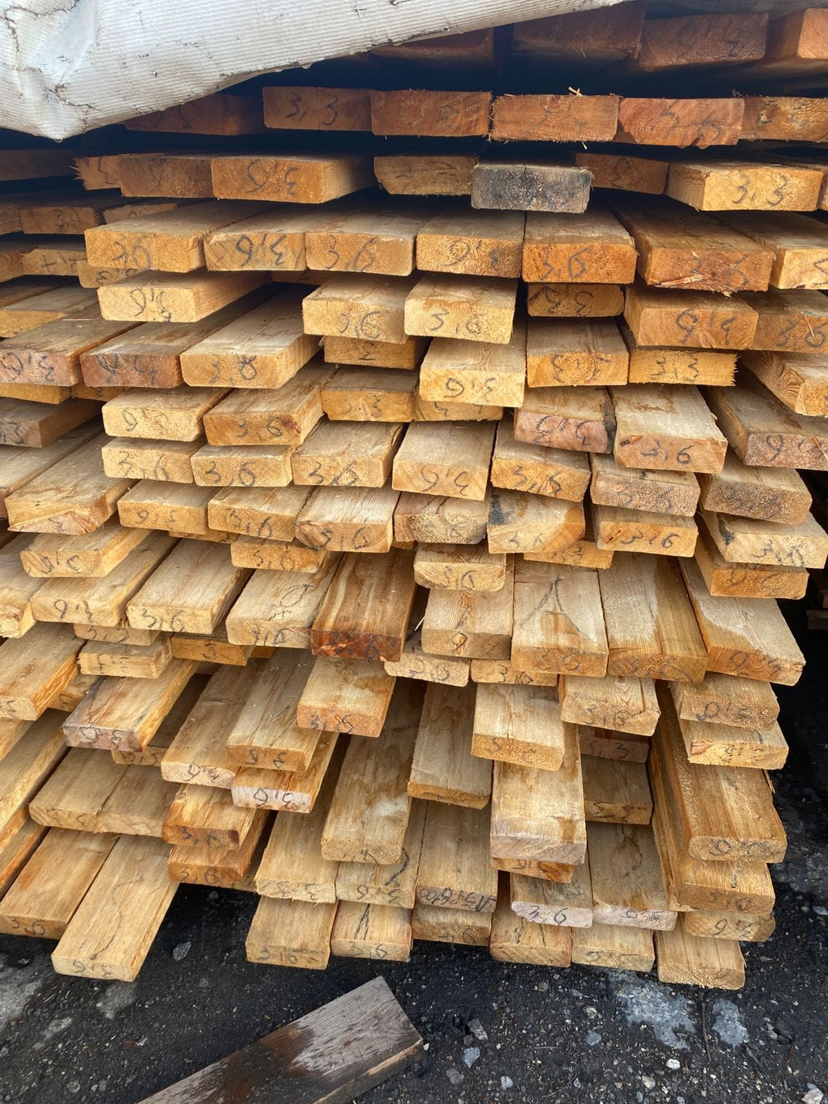 Лиственница, кедр оптовые продажи от производителя. — фото 3