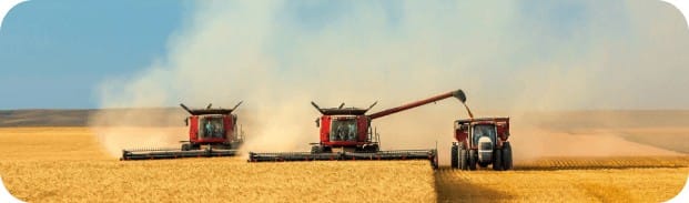 Подсолнечное и соевое масло оптом - ТМ Золотая Семечка — фото 2