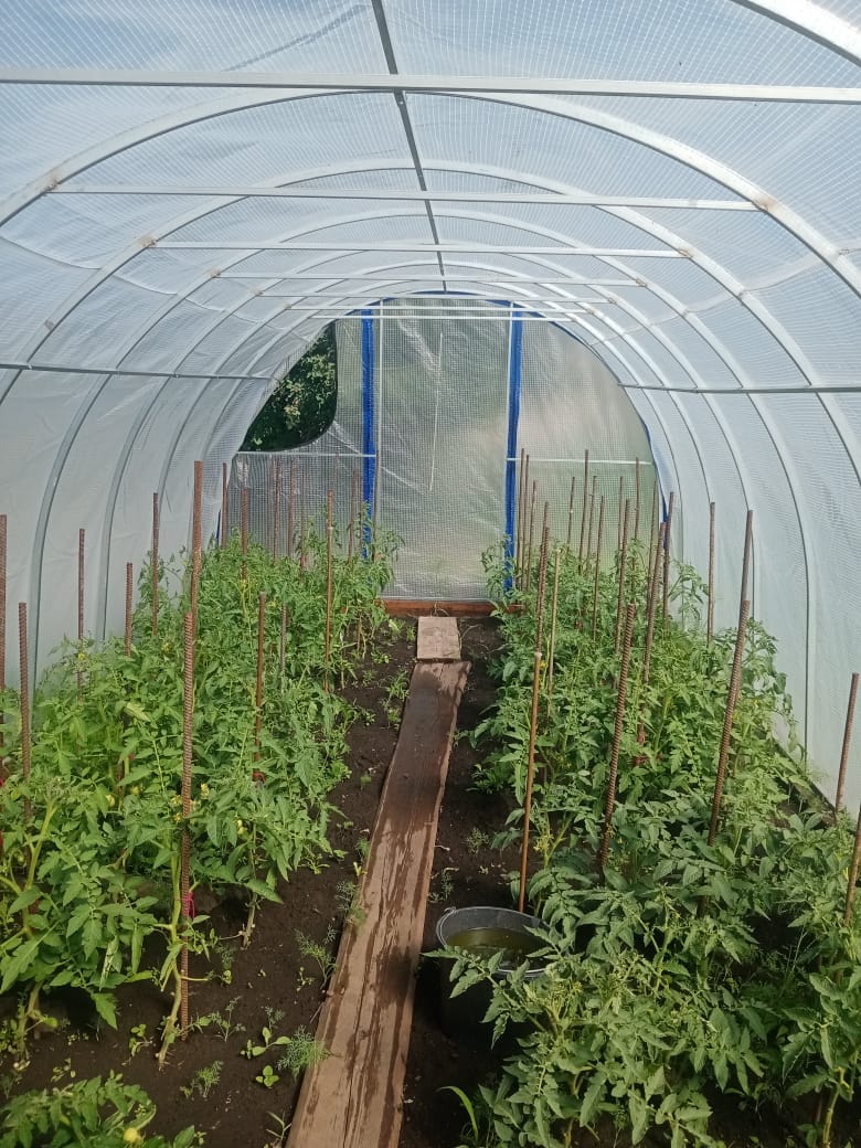 Сотовый поликарбонат — фото 2