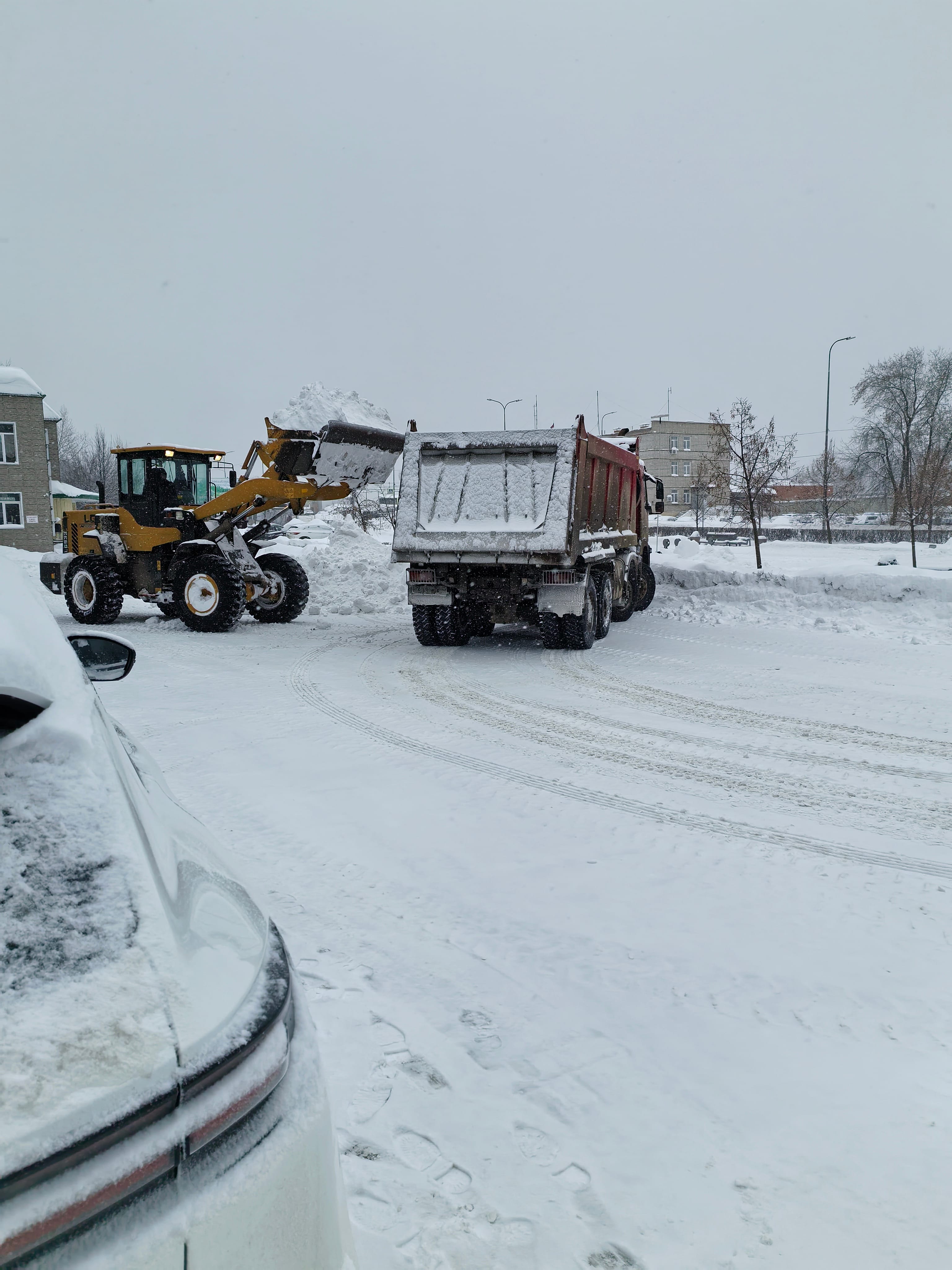 Химчистка — фото 8