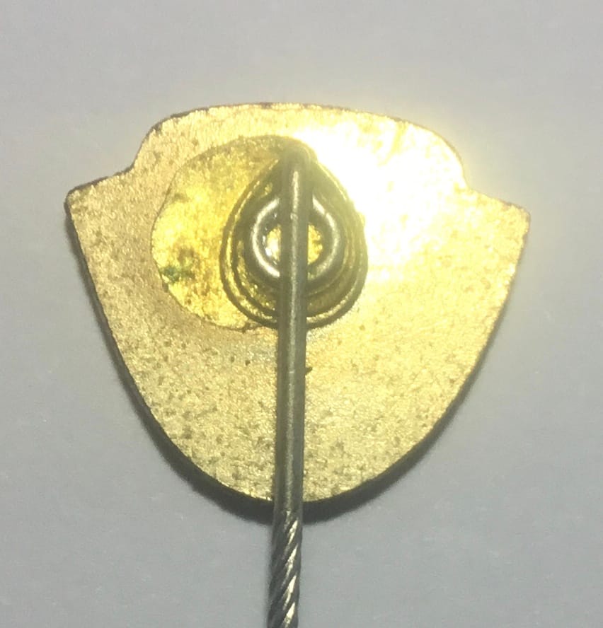 футбол: DRESDEN - футбольный клуб — фото 2