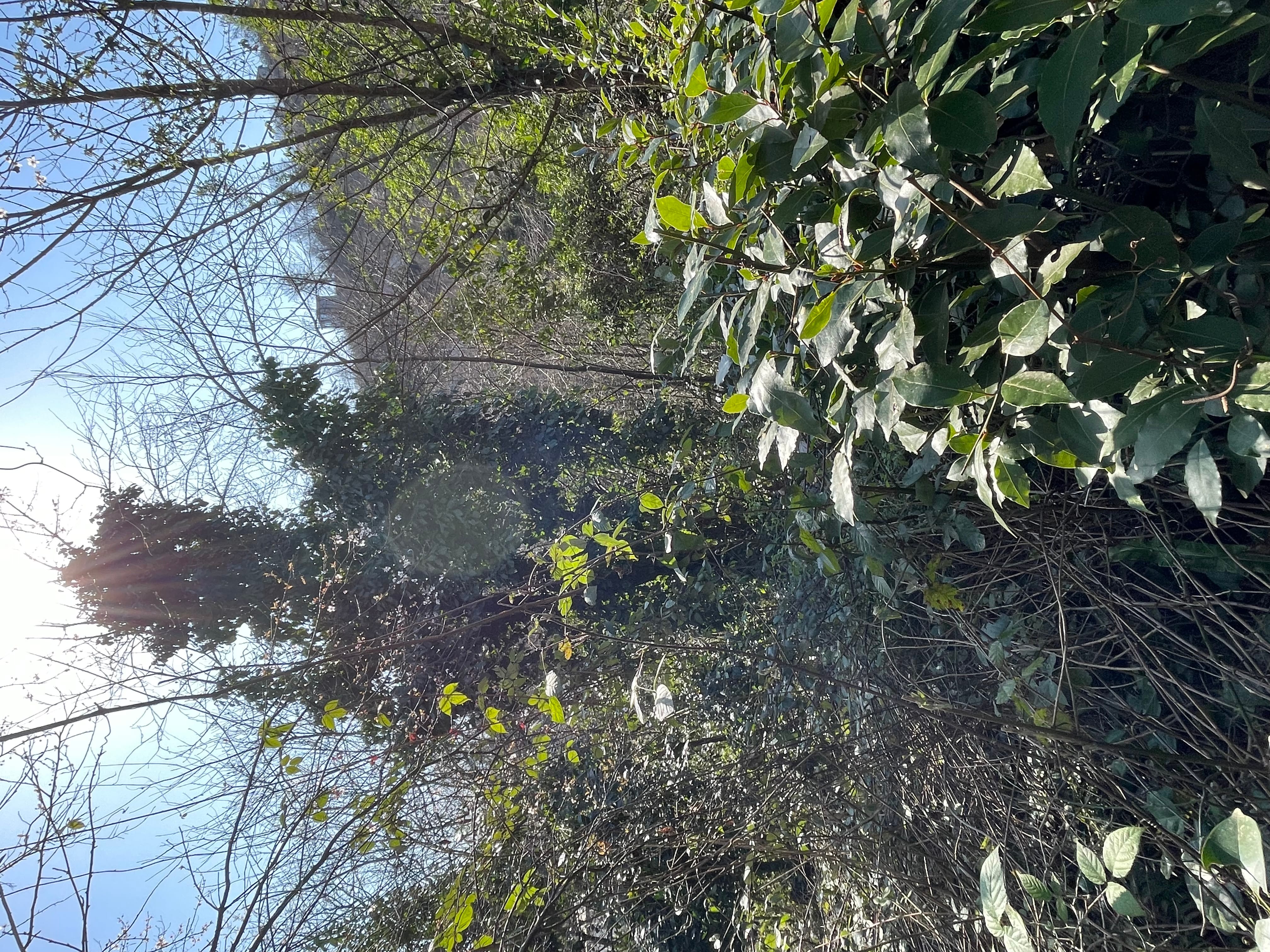 Земельный участок в Сочи