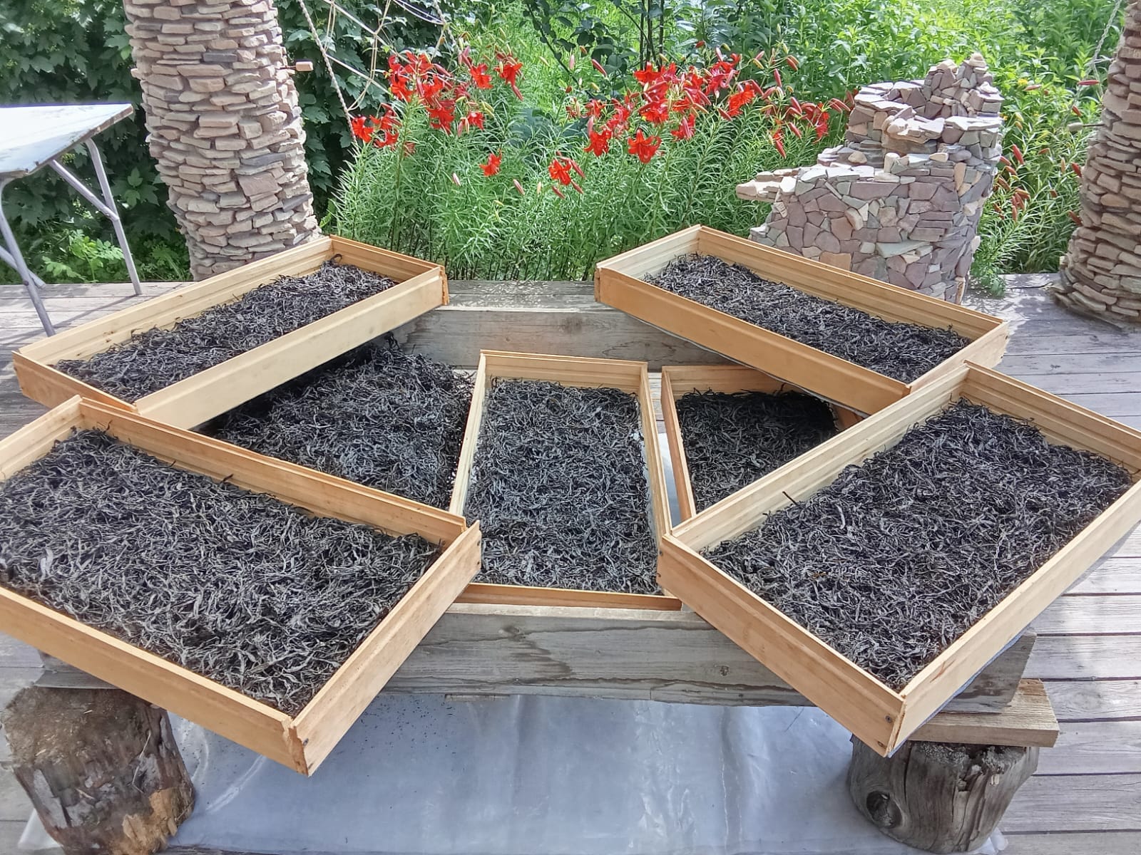 Иван чай ферментированный крупно-листовой черный — фото 2