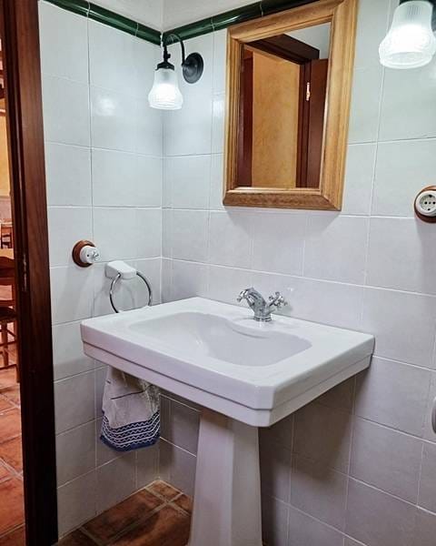 ПЛАНТАЦИЯ МАНДАРИНОВ В ИСПАНИИ — фото 17