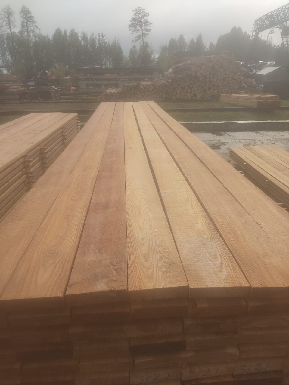 Лиственница сорт 0-1, 0-3 продажа оптом. — фото 2