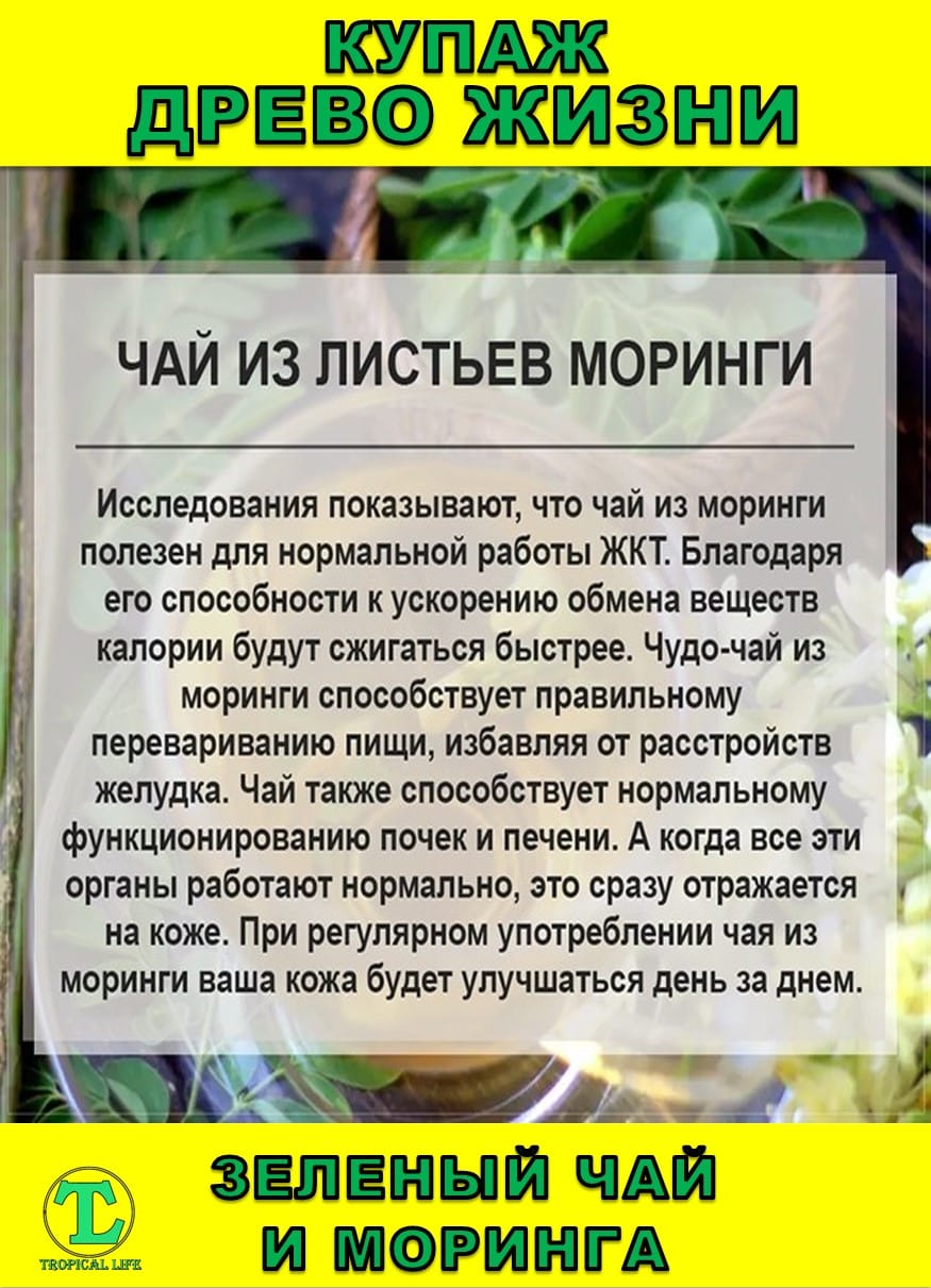 Функциональный купаж Древо Жизни. Моринга и Зеленый чай — фото 4