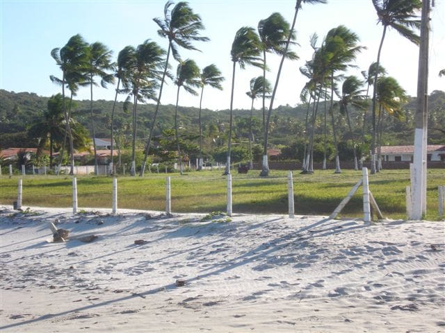 УЧАСТОК ДЛЯ ЗАСТРОЙКИ В БРАЗИЛИИ — фото 2