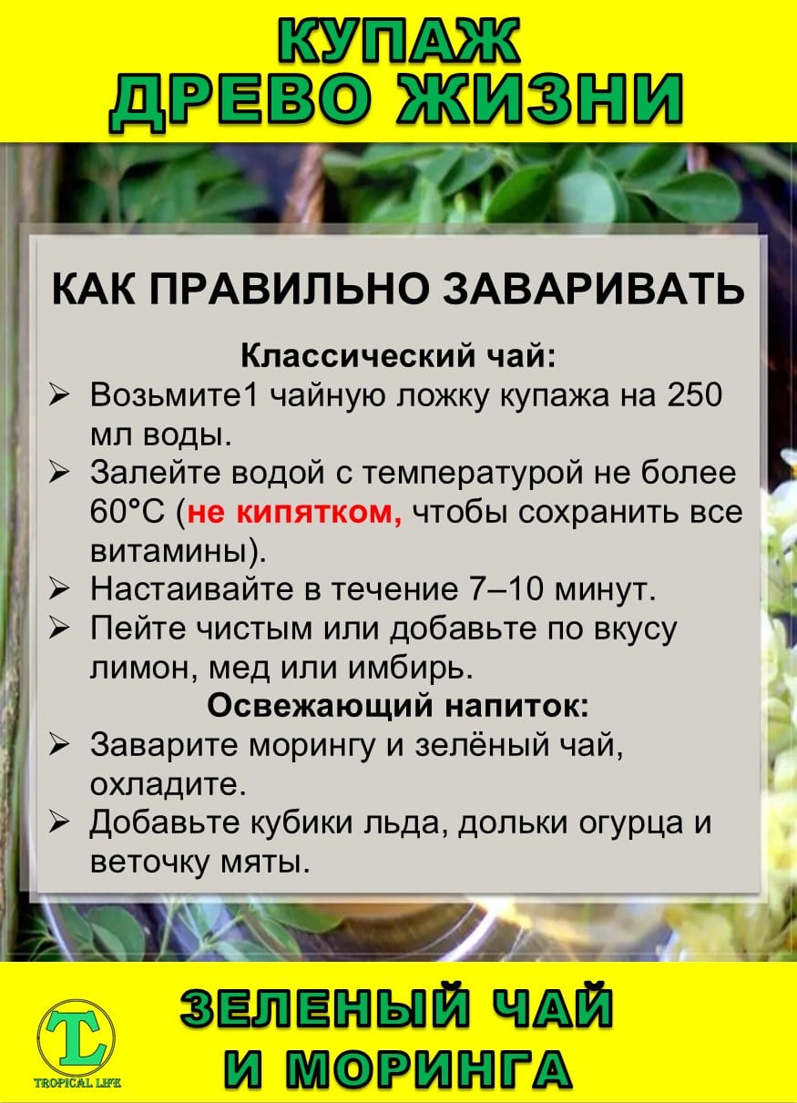 Функциональный купаж Древо Жизни. Моринга и Зеленый чай — фото 6
