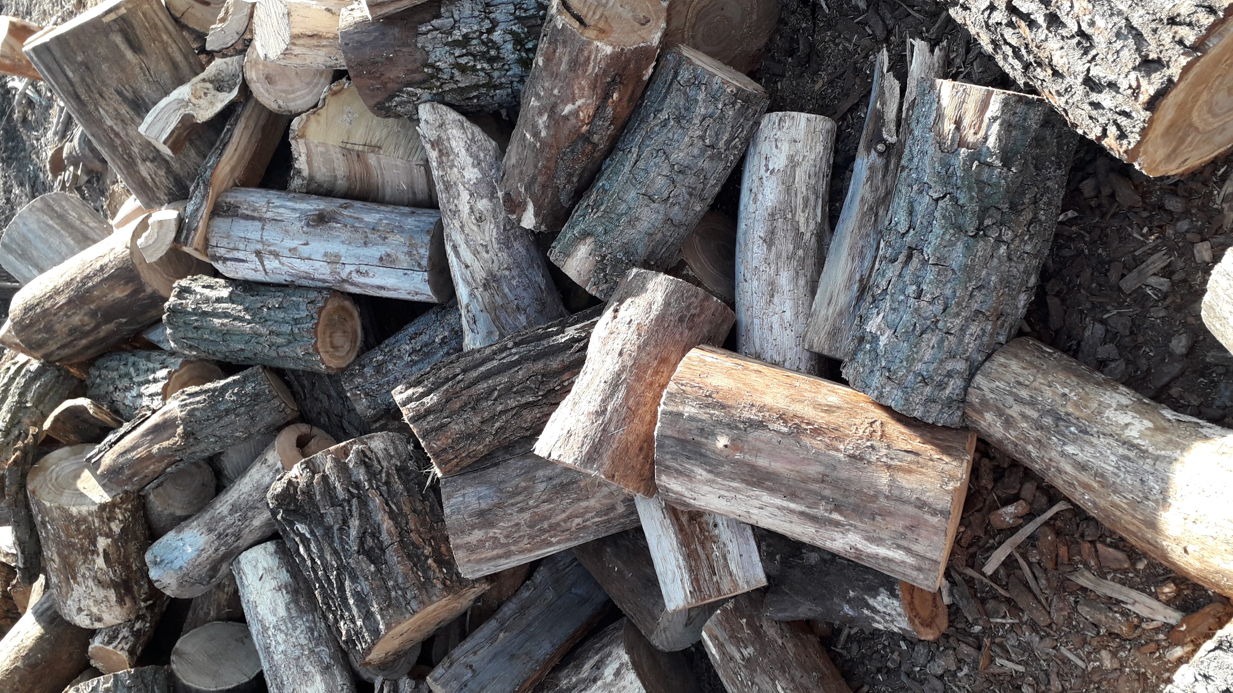 Дрова дубовые — фото 2