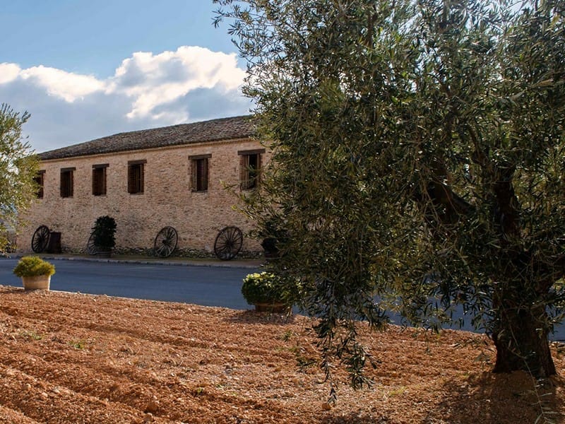 НЕБОЛЬШАЯ ВИНОДЕЛЬНЯ В ИСПАНИИ — фото 7