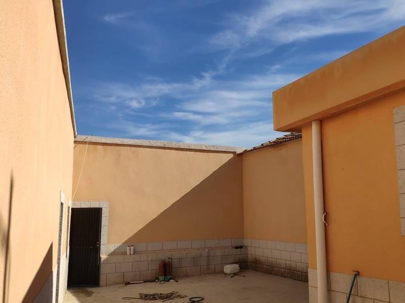 ПЛАНТАЦИЯ ЦИТРУСОВЫХ В ИСПАНИИ — фото 29