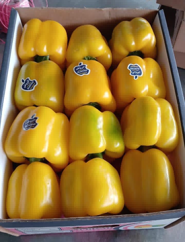 Перец светафор — фото 3