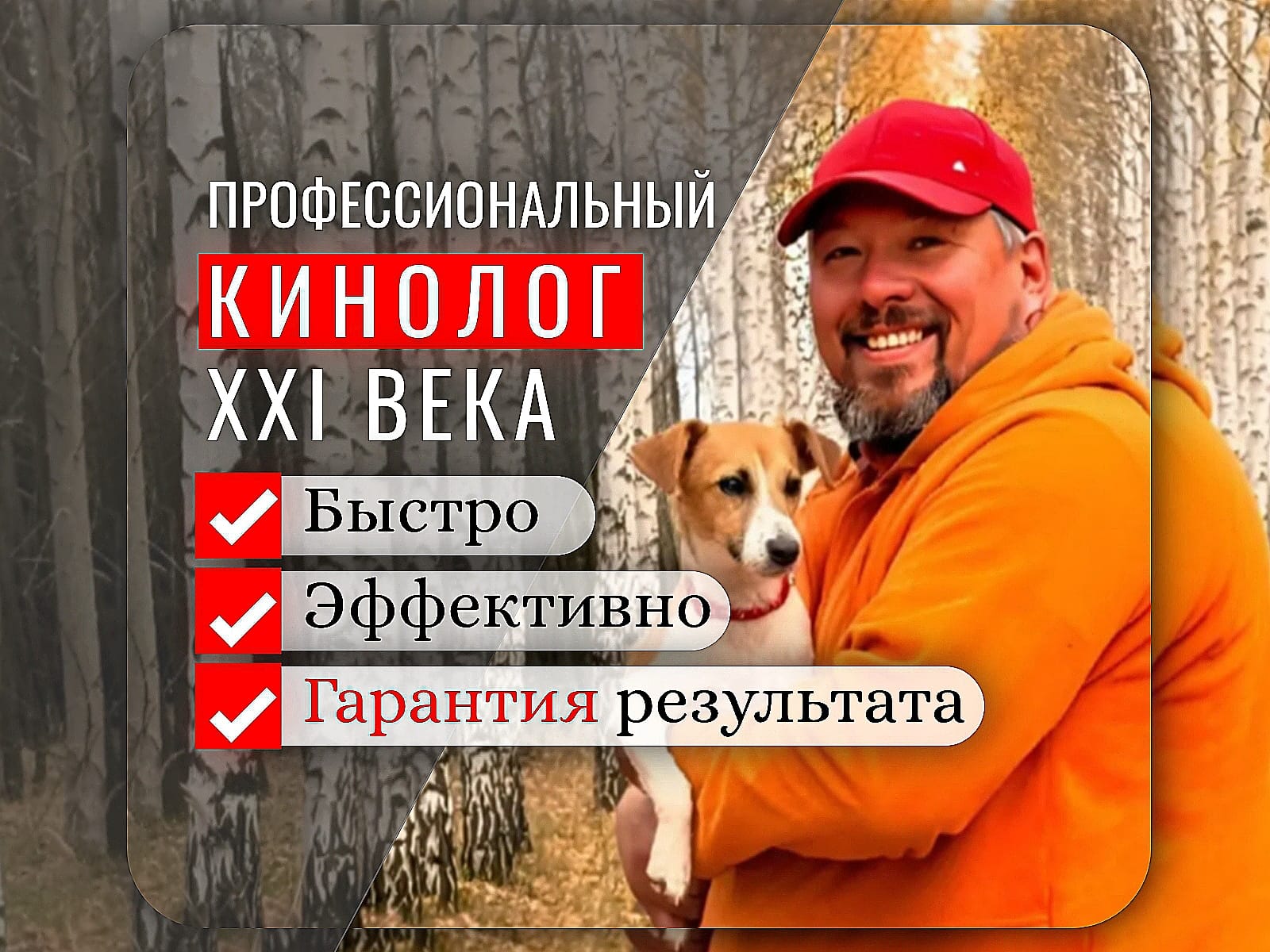 Дрессировка хаски