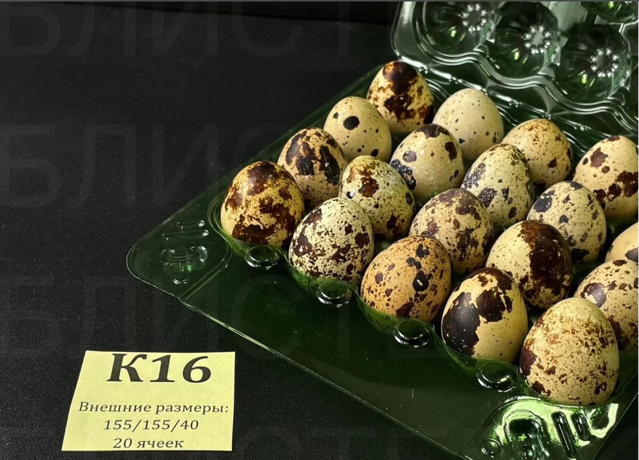 Контейнеры для перепелиных яиц — фото 2