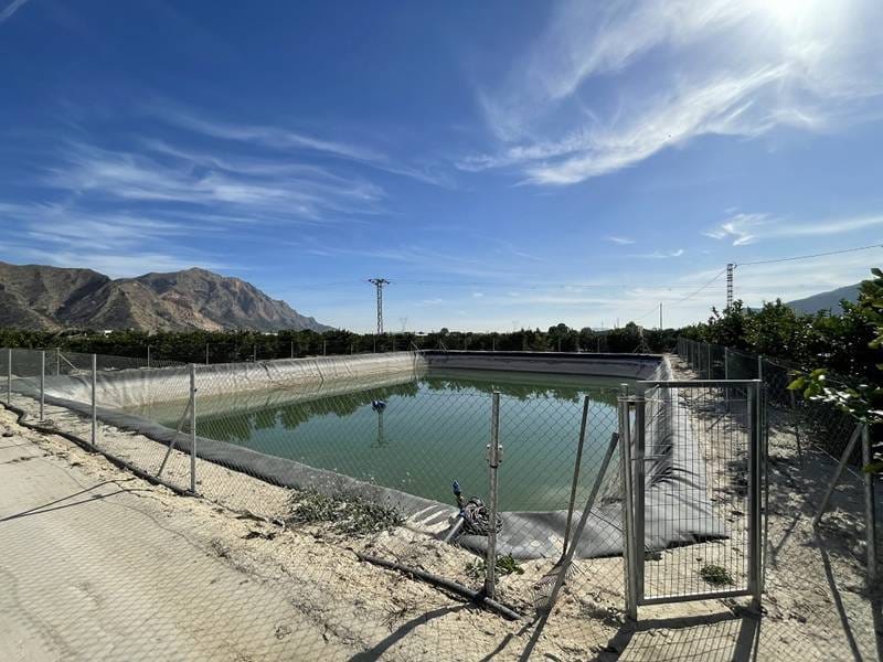 ПЛАНТАЦИЯ ЦИТРУСОВЫХ В ИСПАНИИ — фото 10