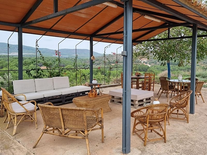 Плантация апельсинов с виллой под Валенсией — фото 8