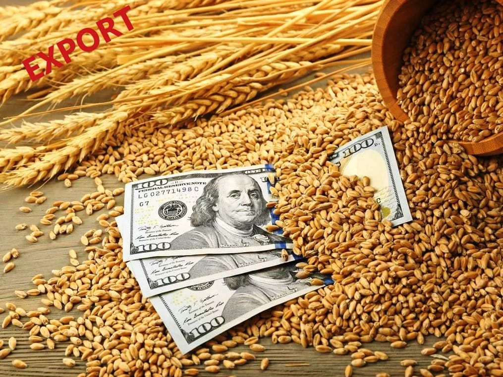 Экспорт зерновых