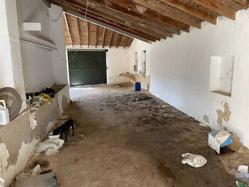 ПЛАНТАЦИЯ ЦИТРУСОВЫХ В ИСПАНИИ — фото 33