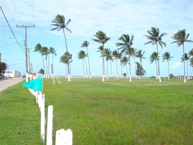 УЧАСТОК ДЛЯ ЗАСТРОЙКИ В БРАЗИЛИИ — фото 4