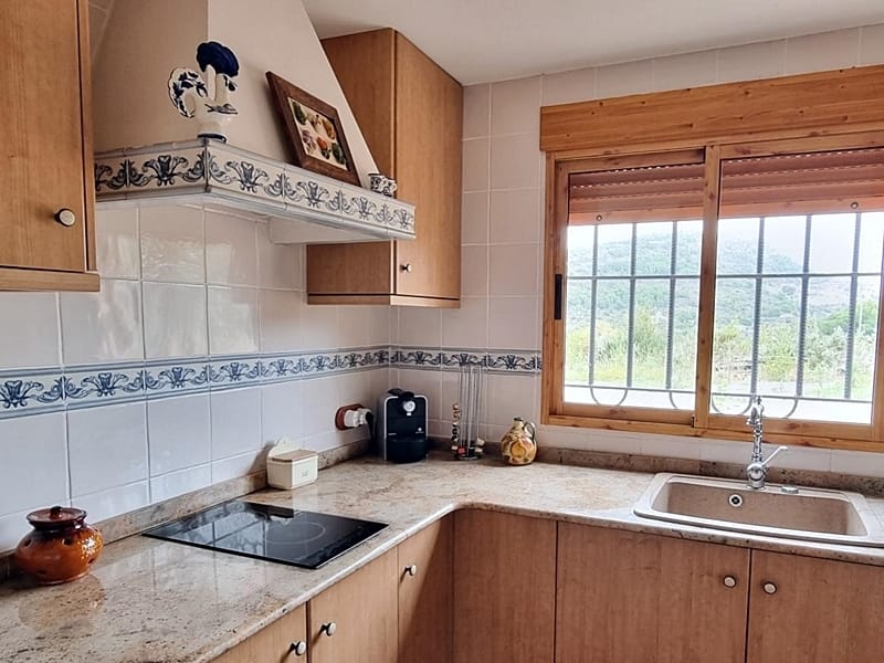 Плантация апельсинов с виллой под Валенсией — фото 5