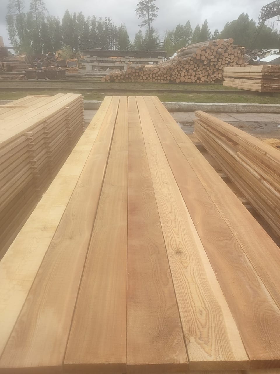 Лиственница сорт 0-1, 0-3 продажа оптом. — фото 4