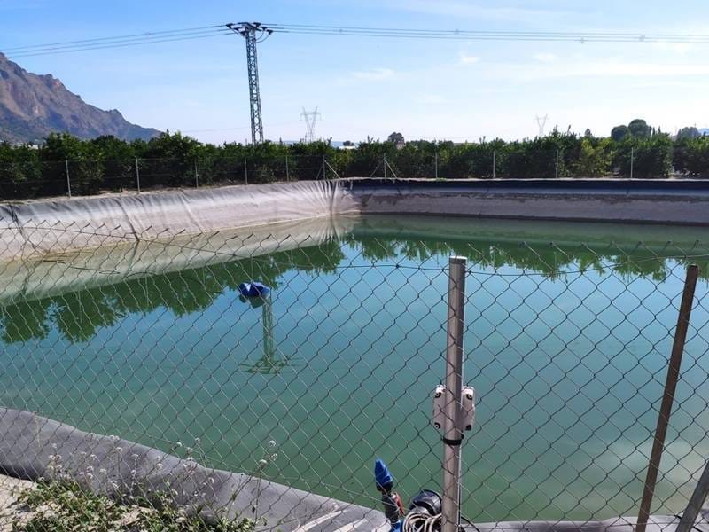 ПЛАНТАЦИЯ ЦИТРУСОВЫХ В ИСПАНИИ — фото 13