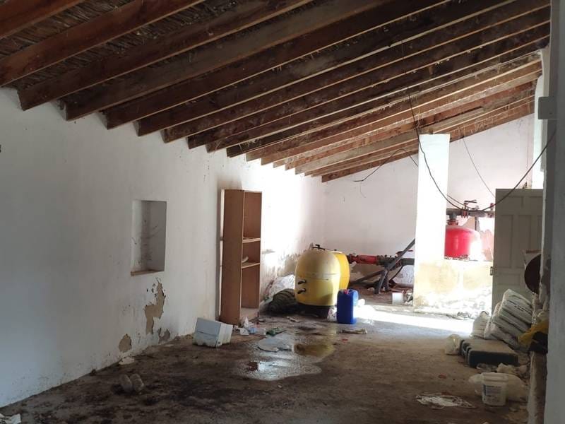 ПЛАНТАЦИЯ ЦИТРУСОВЫХ В ИСПАНИИ — фото 34