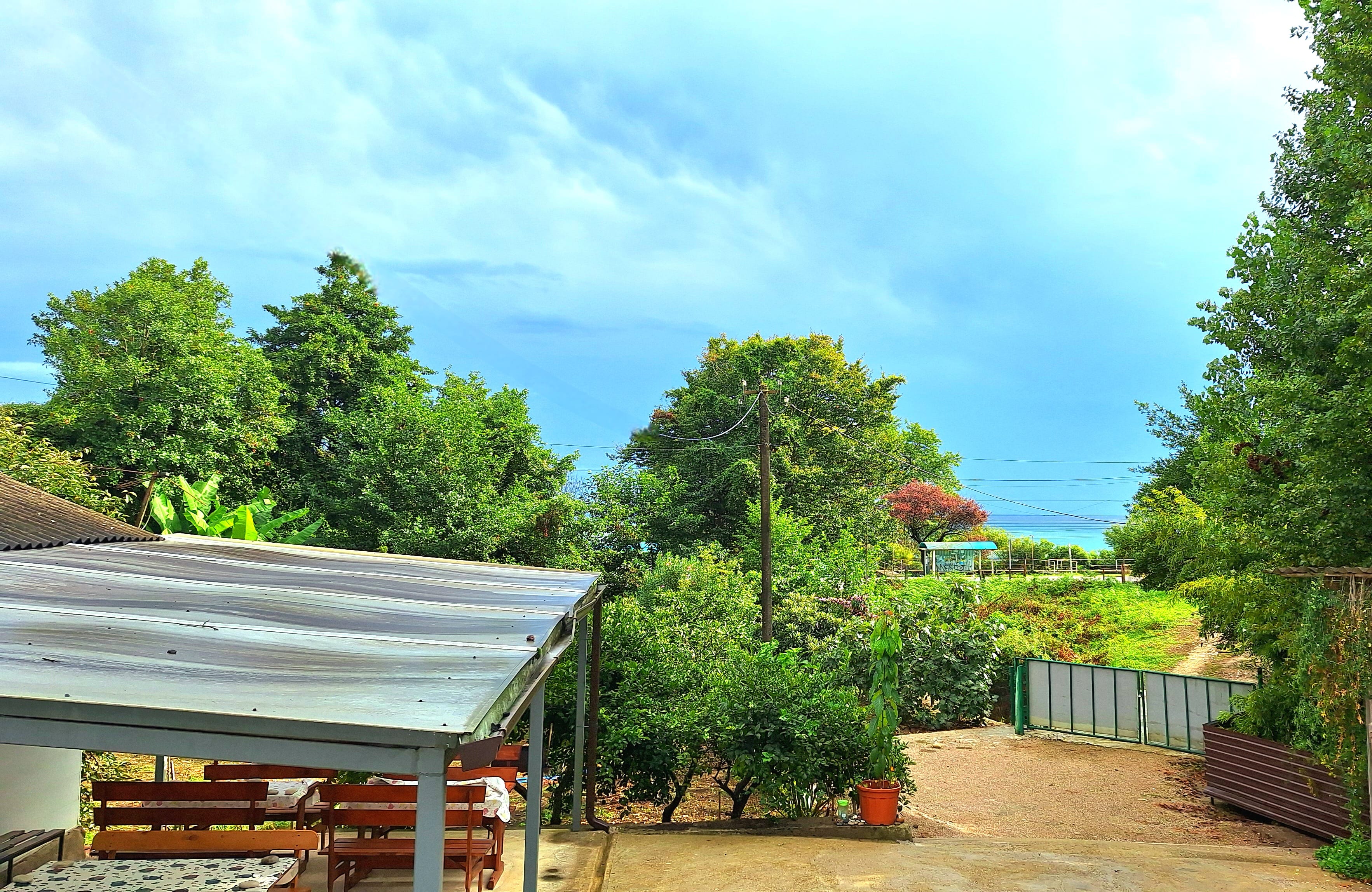 Дом жилой с садом 25 соток и море напротив! — фото 3