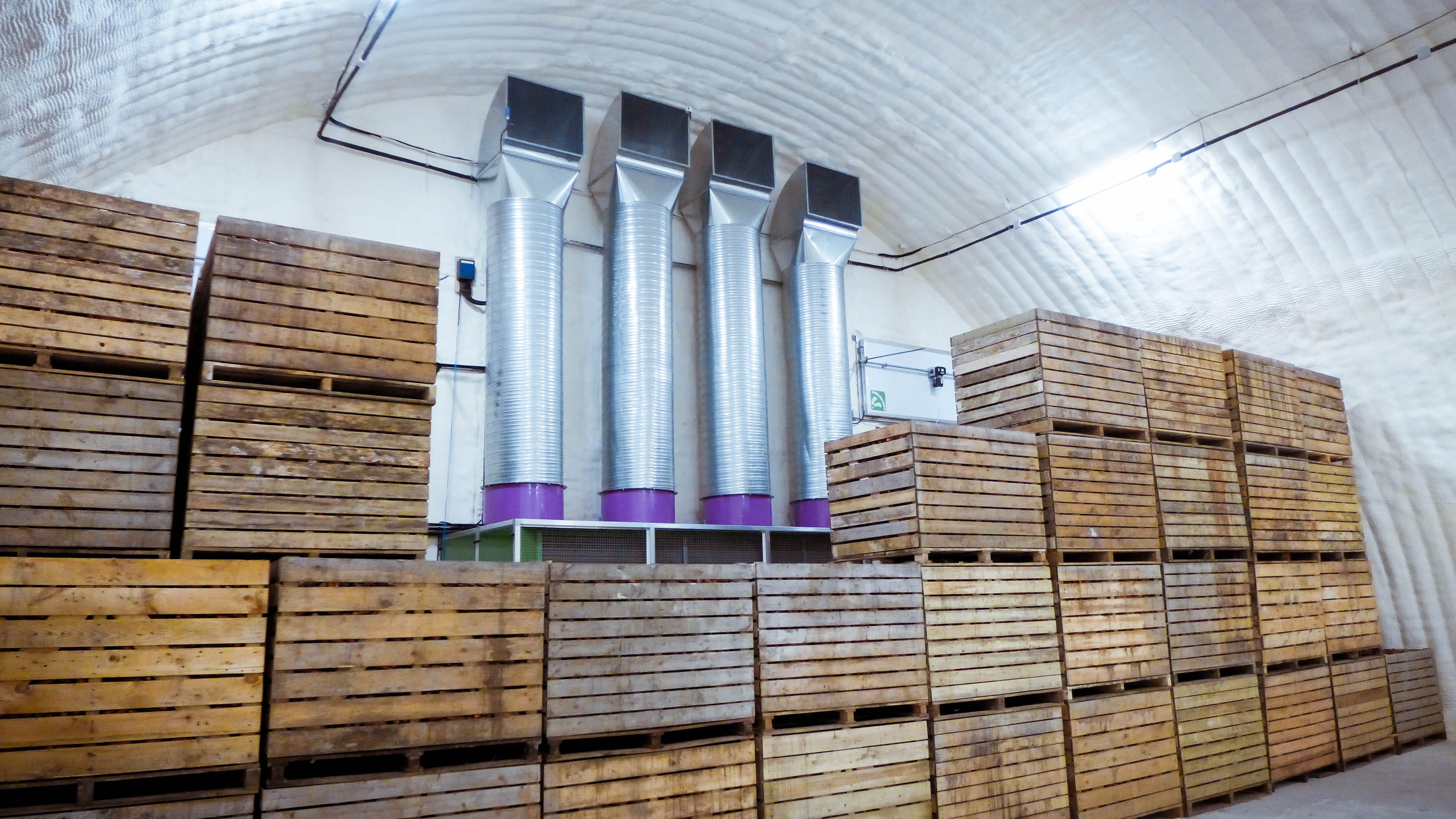 Овощехранилища — фото 2