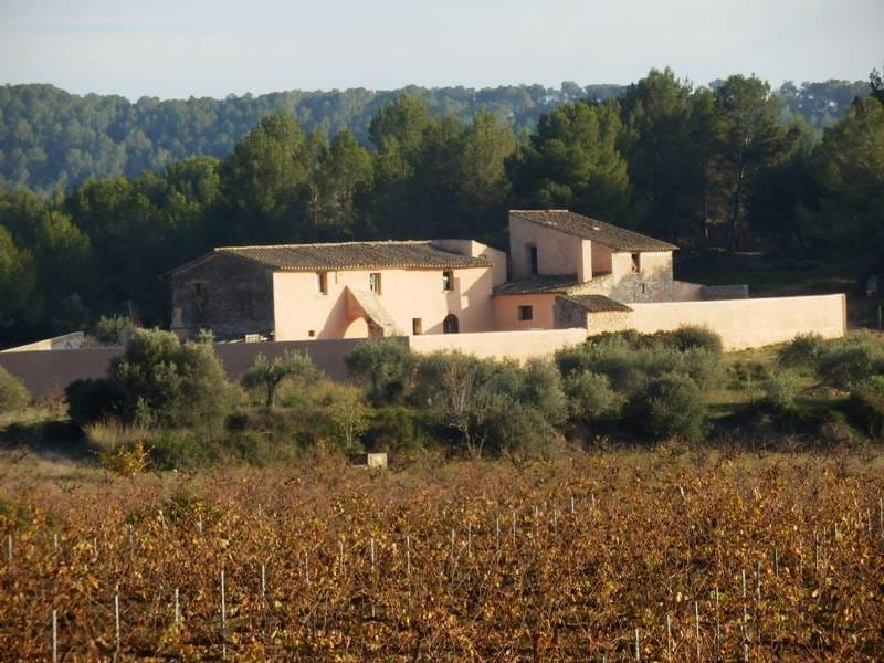 ПОМЕСТЬЕ С ВИНОГРАДНИКАМИ В ИСПАНИИ