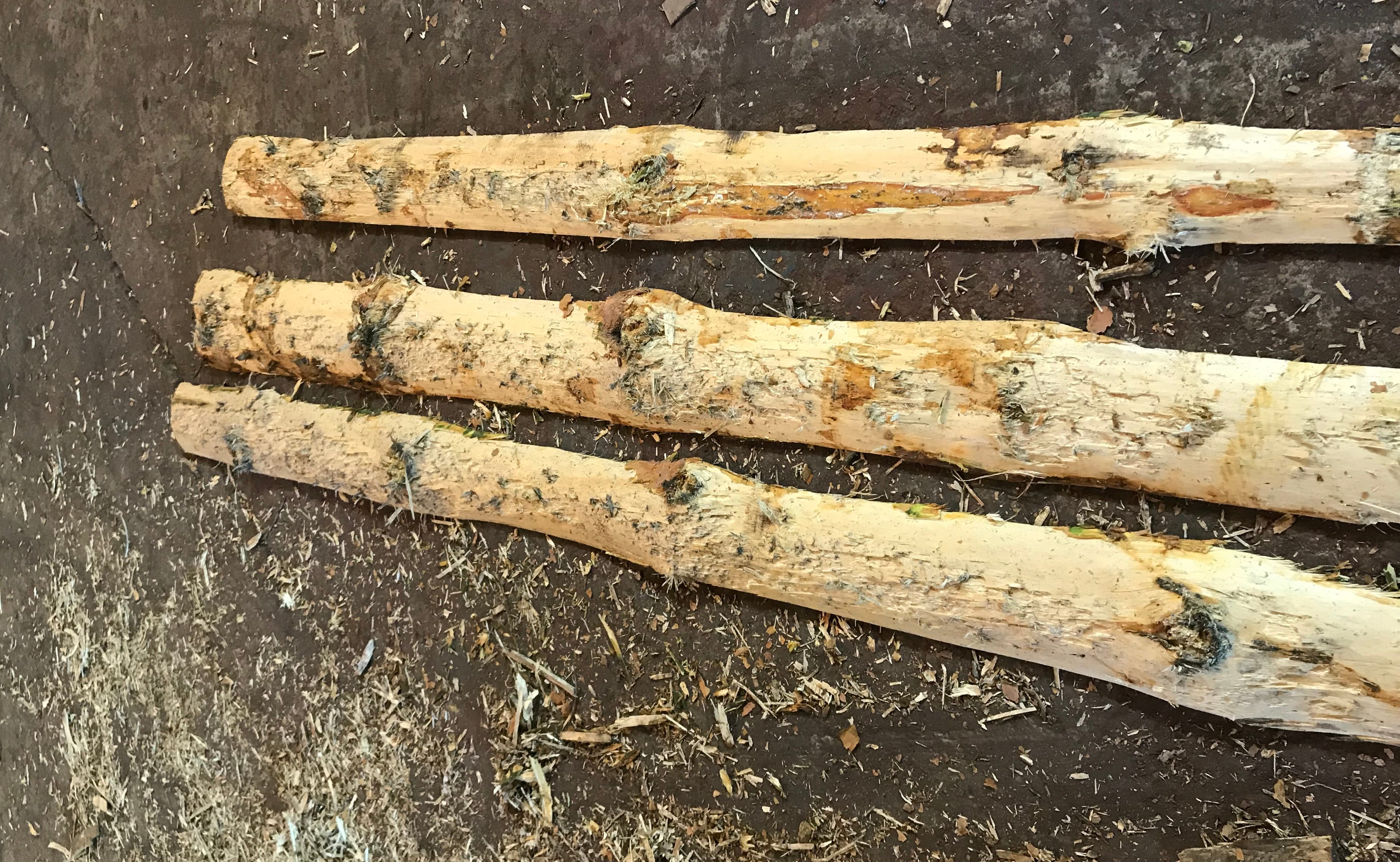 Окорочный станок для горбыля ОСГ-500 СИТЕК — фото 3