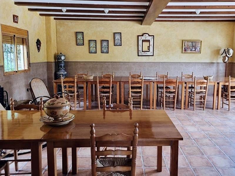 ПЛАНТАЦИЯ МАНДАРИНОВ В ИСПАНИИ — фото 9