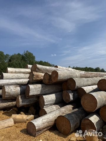 Сосна Кело сухая для домостроения, продажа оптом. — фото 2