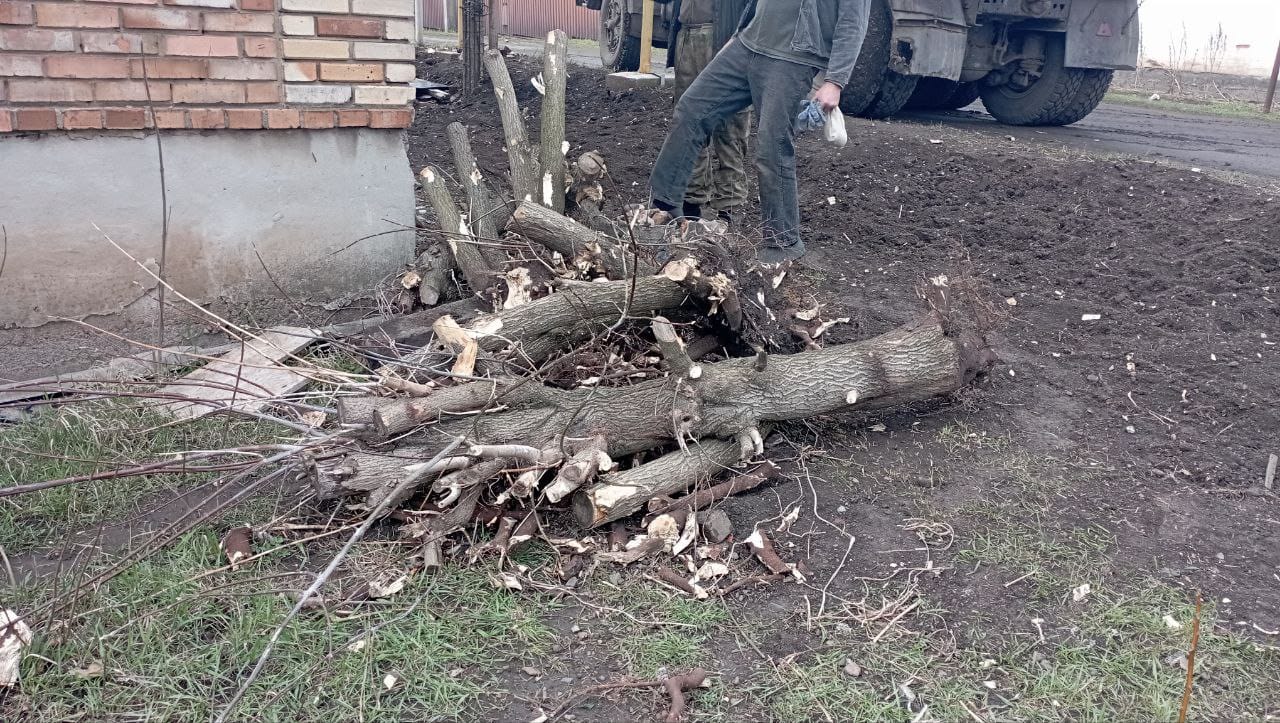 Выкорчевывание пней,    поросли,    кустарника.    ДНР