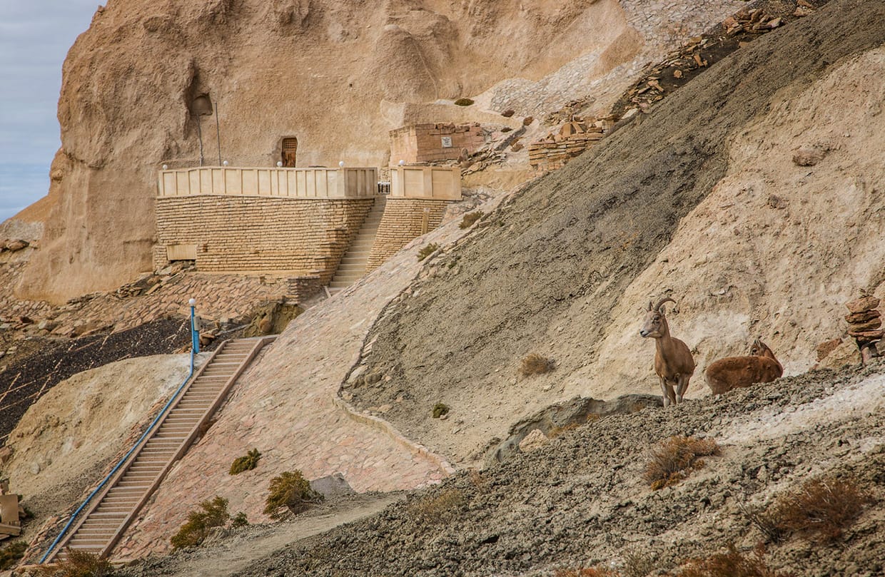 Tакси Актау Аэропорт - Бекет ата (Караман ата) - Аэропорт — фото 9