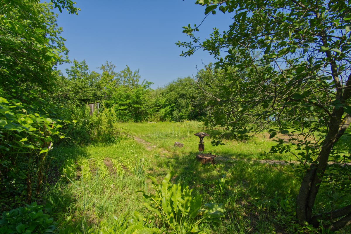 Большой земельный участок по привлекательной цене — фото 2