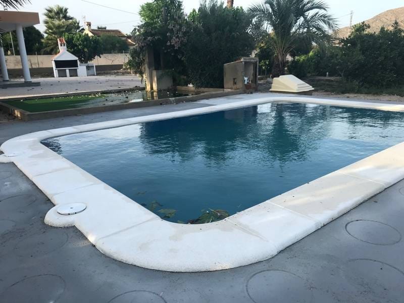 ПЛАНТАЦИЯ ЦИТРУСОВЫХ В ИСПАНИИ — фото 40