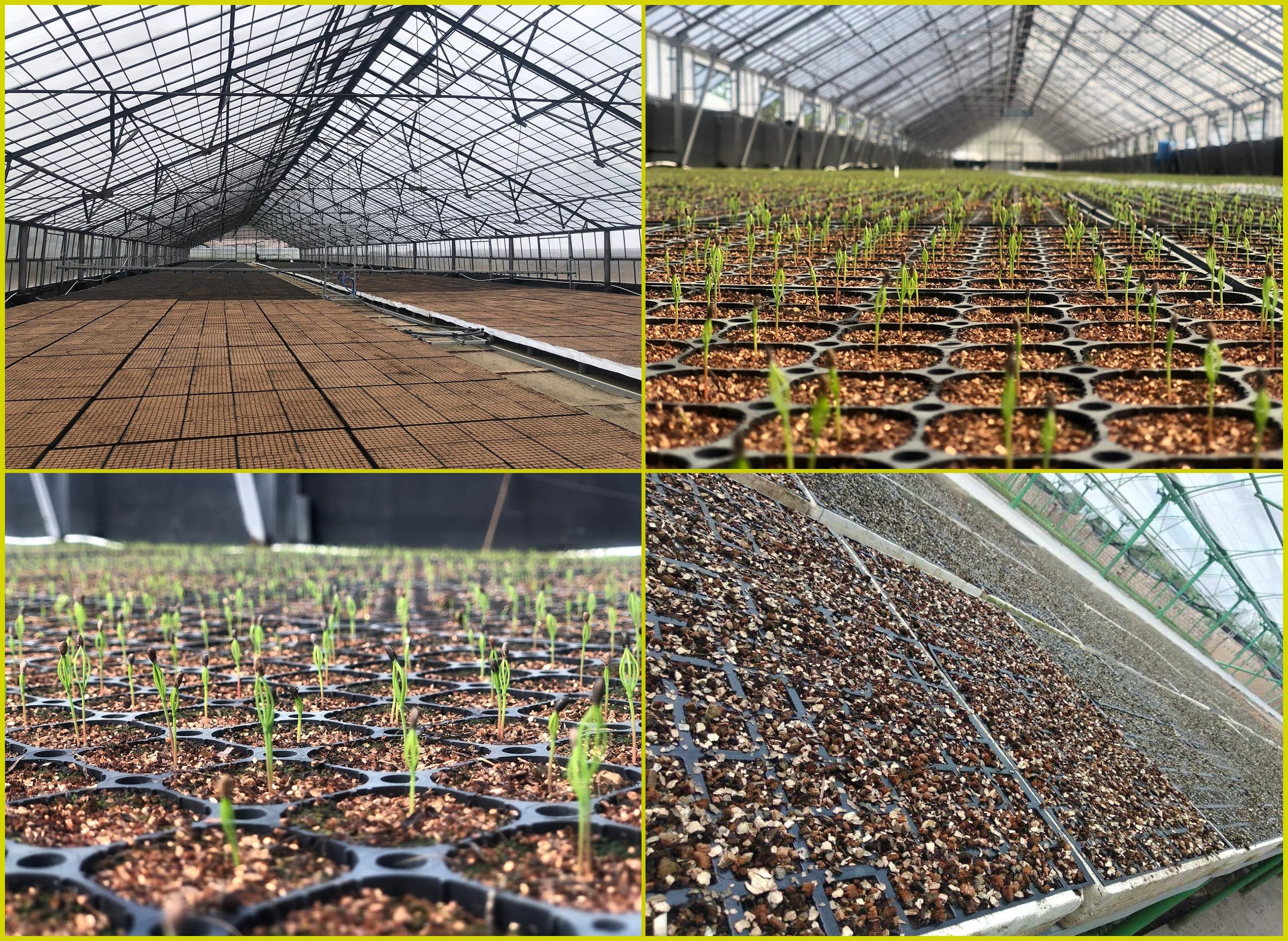 Вермикулит от Производителя — фото 6