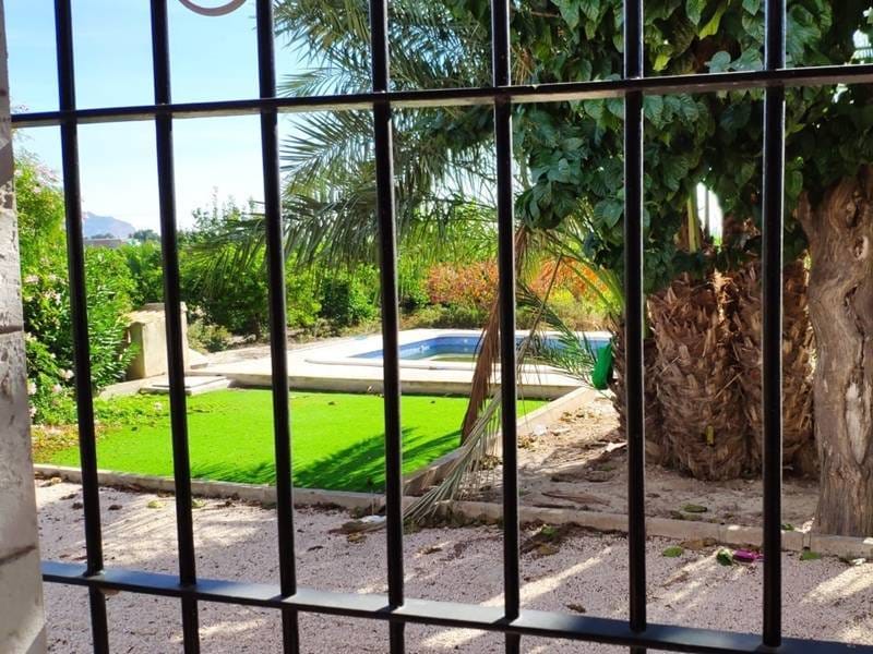 ПЛАНТАЦИЯ ЦИТРУСОВЫХ В ИСПАНИИ — фото 27