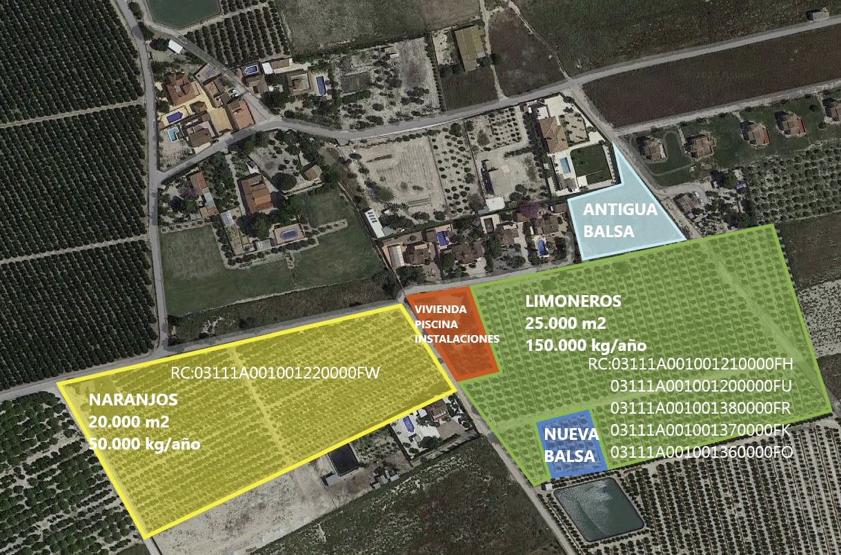 ПЛАНТАЦИЯ ЦИТРУСОВЫХ В ИСПАНИИ — фото 46