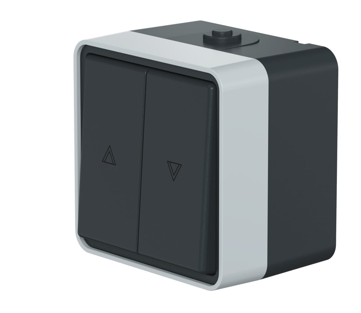 Выключатель двухклавишный кнопочный CADUCEUS ALING PROTECTA для открытой проводки, для жалюзи, 10А, 250В~